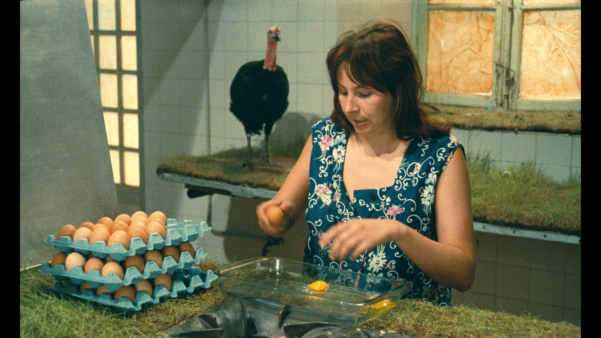 Cortos Agnès Varda