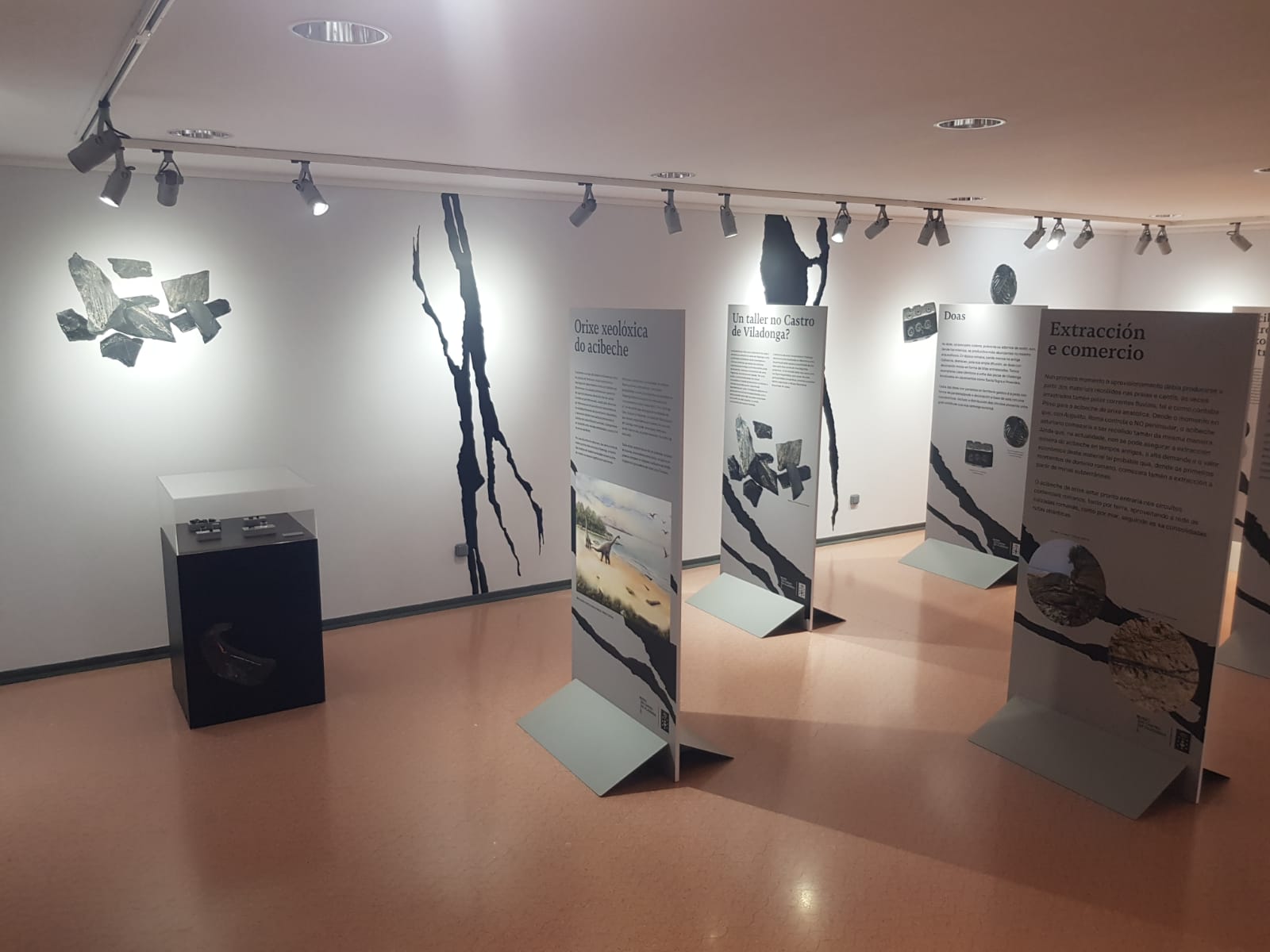 Exposición de la investigación sobre los azabaches en el Castro de Viladonga