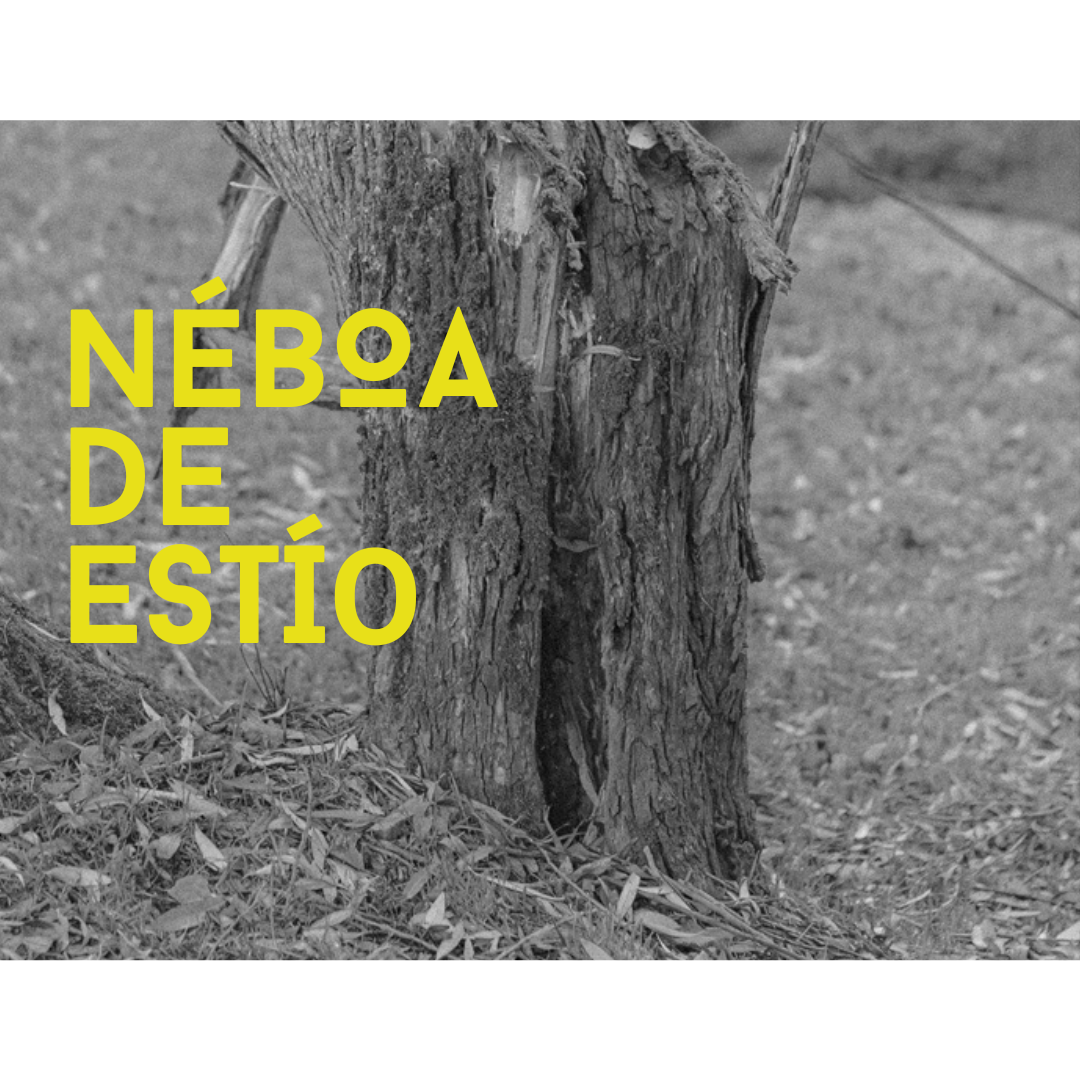 Néboa de estío na Galería NÉBOA