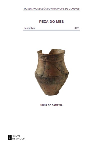 Portada de la publicación de la Pieza del Mes de diciembre del Museo Arqueológico de Ourense