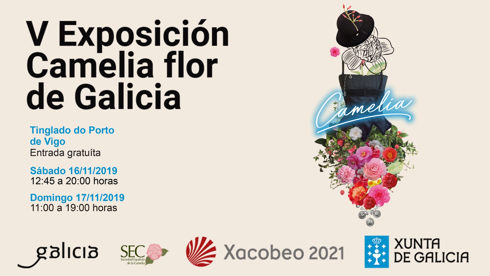 Nova: La flor de la camelia y el traje gallego protagonizan una nueva  exposición en Vigo | Cultura de Galicia