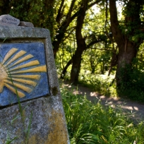 Camino de Santiago