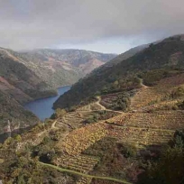 Ribeira Sacra