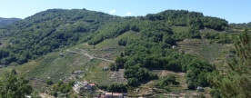 El camino de invierno es una ruta ya descubierta por los romanos, siguiendo las cuotas bajas de la cuenca del río Sil. Desde Ponferrada (León), pasaban por la Ribeira Sacra y las tierras pontevedresas del Deza, donde se unían con la ruta del Sureste hasta Santiago