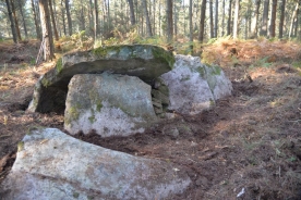 Dolmen de Friol