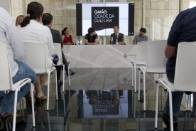 El conselleiro de Cultura, Educación e Ordenación Universitaria, Xesús Vázquez, invitó a todos los gallegos a asistir al concierto del próximo 12 de septiembre en el Museo Centro Gaiás, donde adelantará algunos nuevos temas
